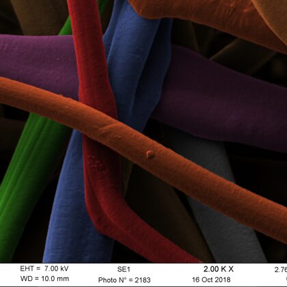 Image de fibres de polycaprolactone au microscopie électronique à balayage