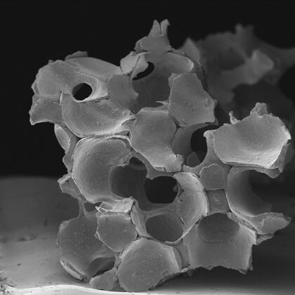 Image d'un matériau de comblement osseux au microscopie électronique à balayage